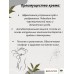 Крем SIYANGSHUANG от зуда и раздражения – 30 г