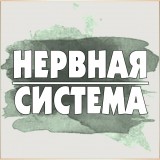 Нервная система